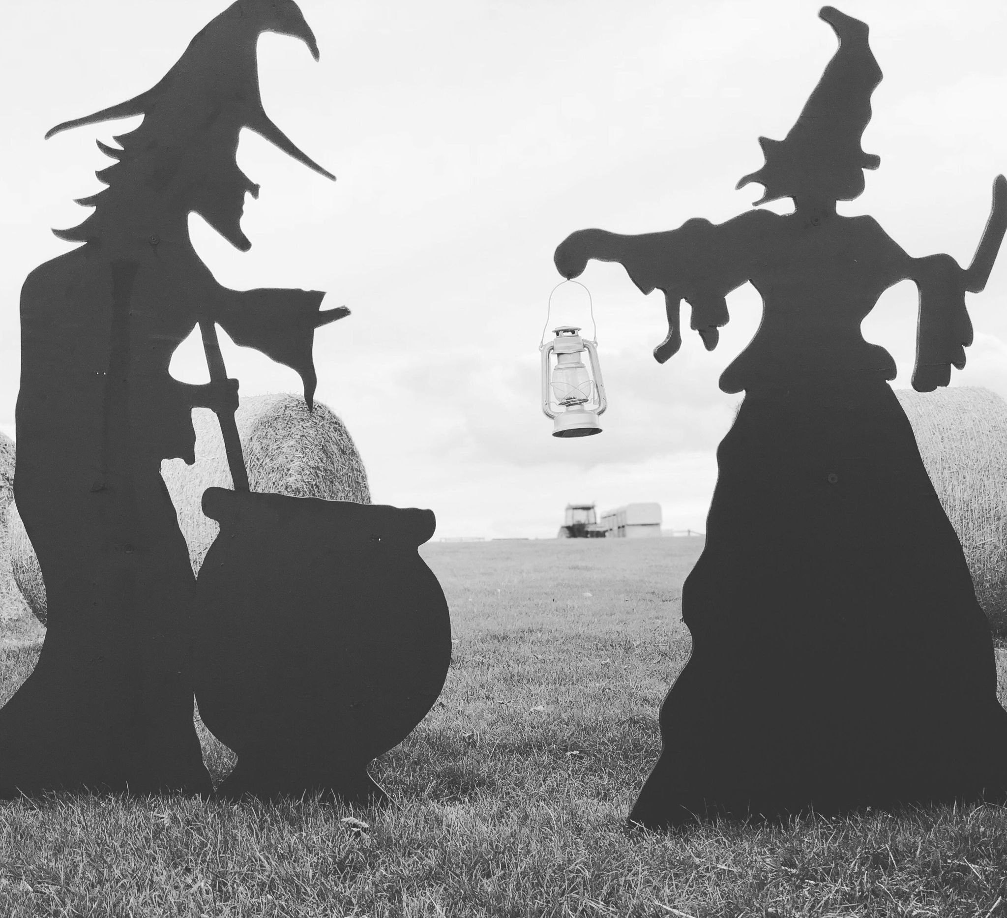Witches silhouette at Farmer Copleys Pumpkin Festival
