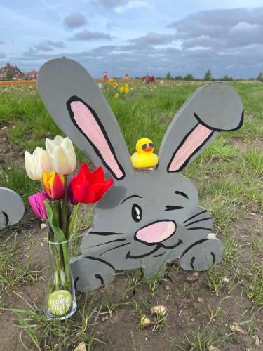A-bunny-welcome-to-the-flower-field