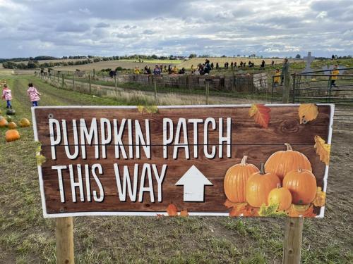 This-way-to-the-pumpkin-patch